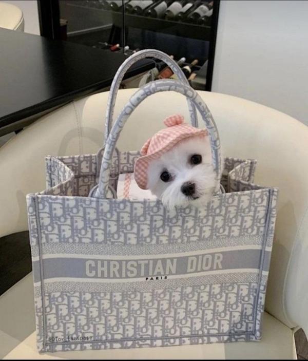 디* 오블리크  쁘띠스카프 북토트 백 미디움